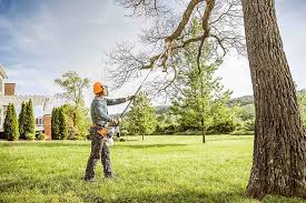 Best Hedge Trimming  in Vermilion, OH